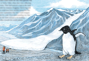 An 
Adelie penguin in Taylor Valley